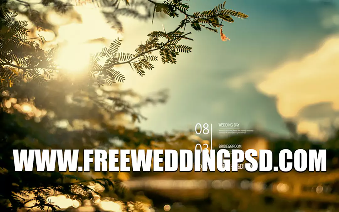 photo album background design psd